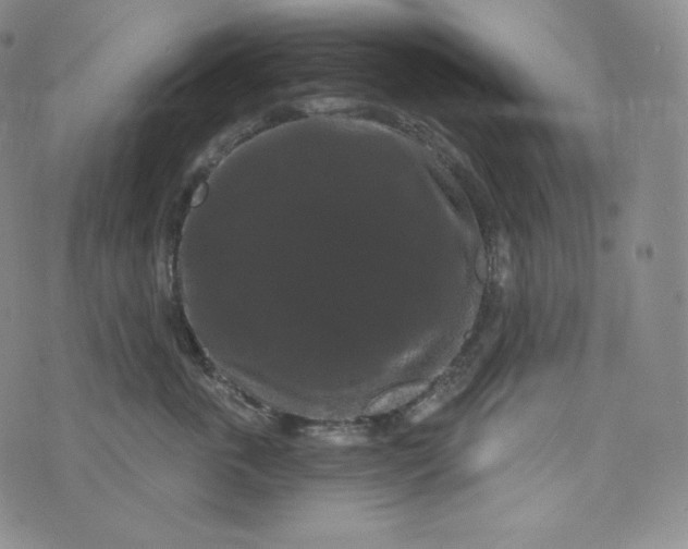 X0000074010763200609111623