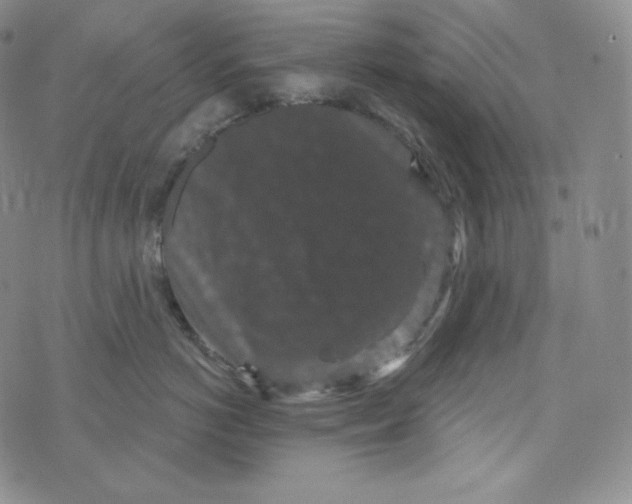 X0000074010766200609111623