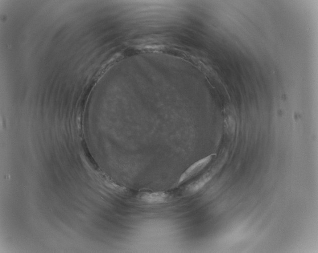 X0000074010767200609111623