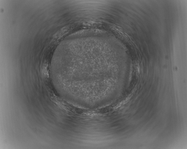 X0000074010770200609111623