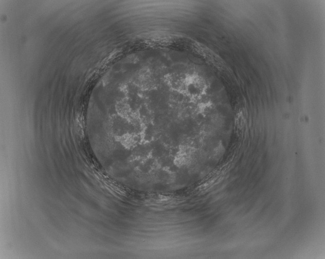 X0000074010772200609111623