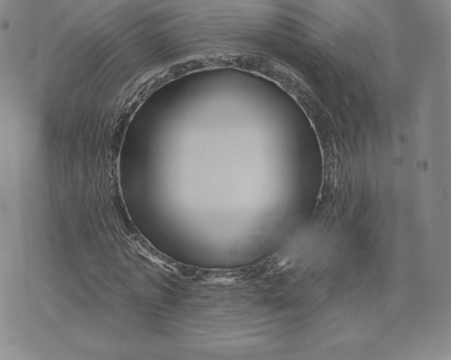 X0000074010773200609111623