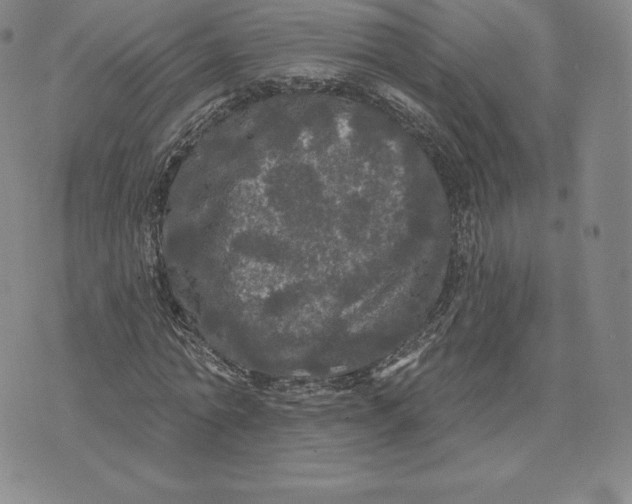 X0000074010774200609111623