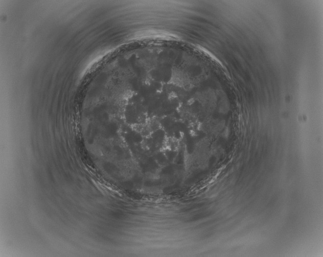 X0000074010775200609111623