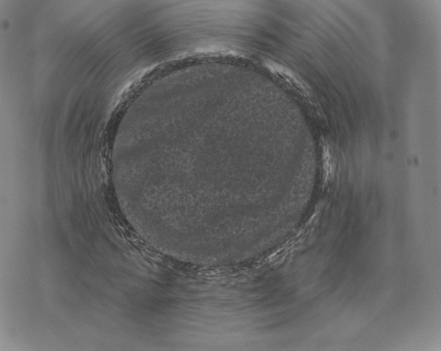 X0000074010776200609111622