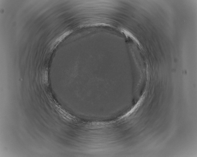 X0000074010777200609111622