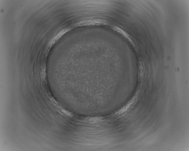 X0000074010778200609111622