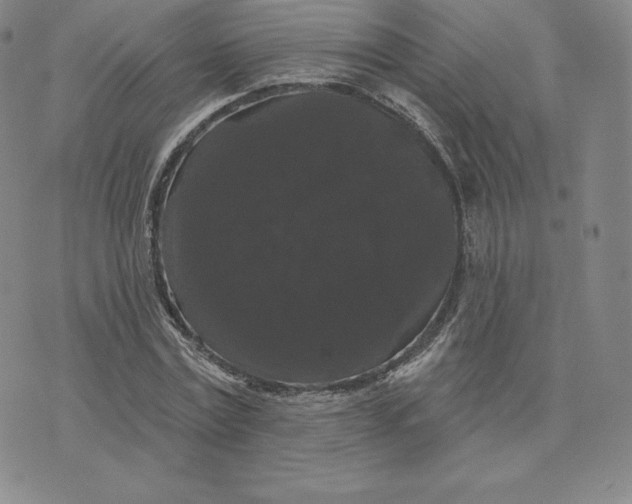 X0000074010779200609111622