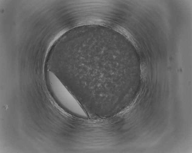 X0000074010780200609111622