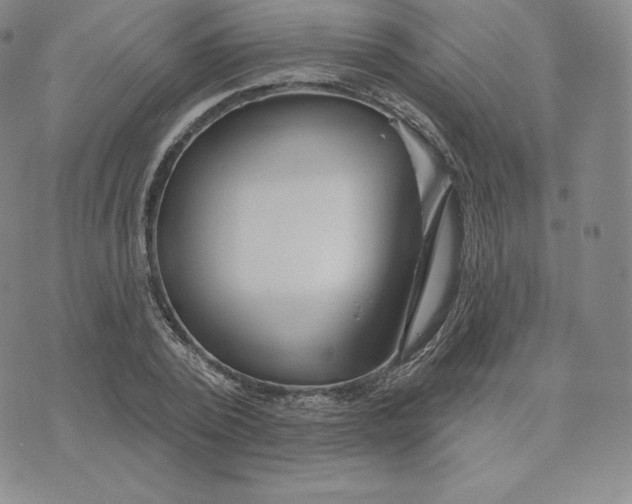 X0000074010784200609111622