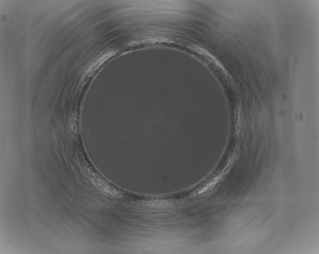 X0000074010785200609111622