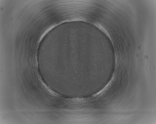 X0000074010789200609111622