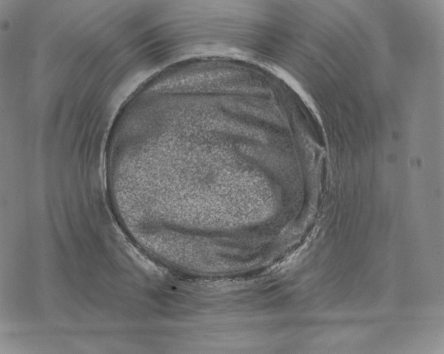 X0000074010791200609111622