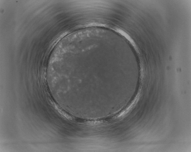 X0000074010793200609111622