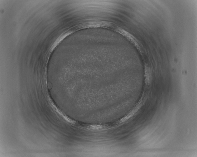 X0000074010794200609111622