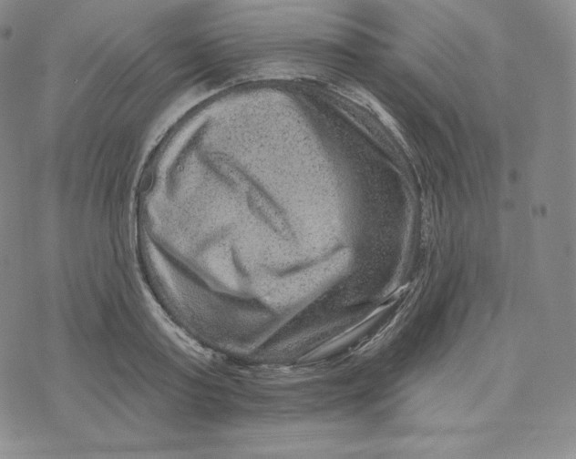 X0000074010795200609111622