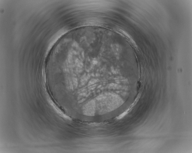 X0000074010796200609111622