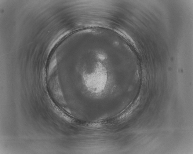 X0000074010798200609111622