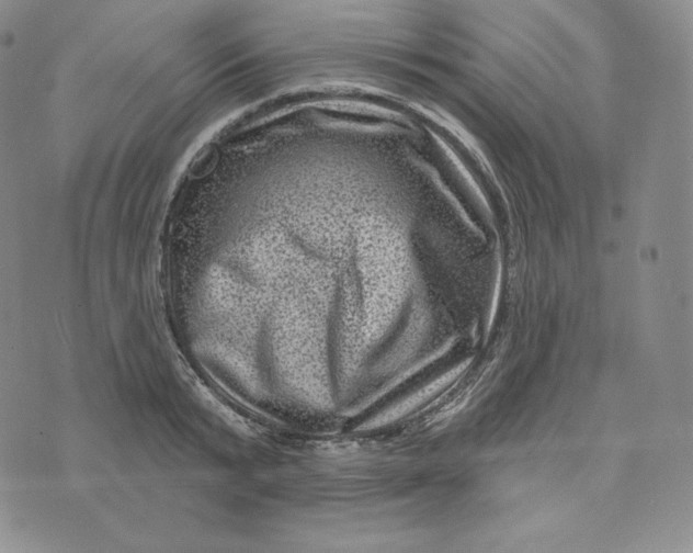 X0000074010799200609111622