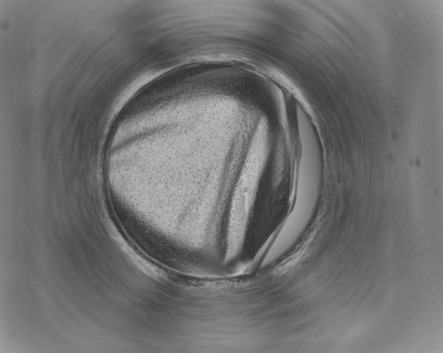 X0000074010803200609111622