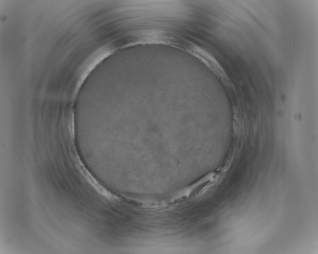 X0000074010804200609111622