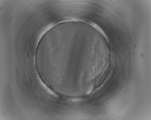 X0000074010805200609111622