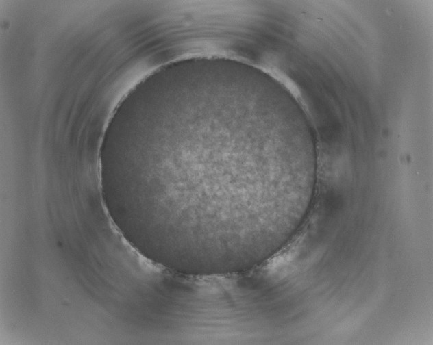 X0000074010807200609111622