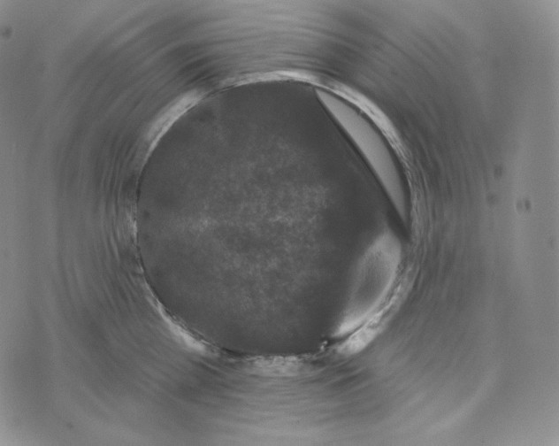 X0000074010809200609111622