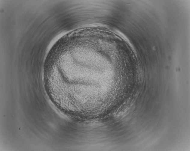 X0000074010811200609111622