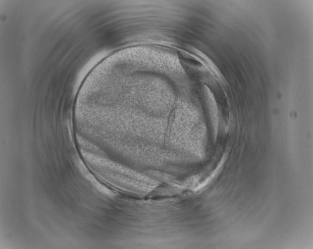 X0000074010812200609111622