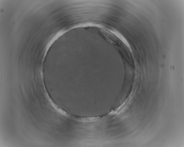 X0000074010813200609111622