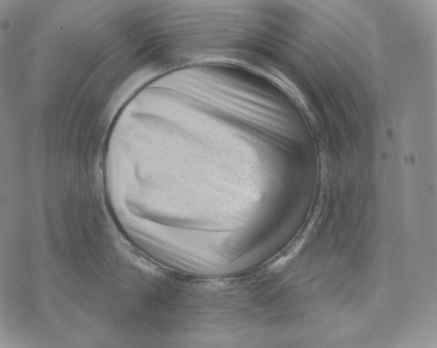 X0000074010814200609111622