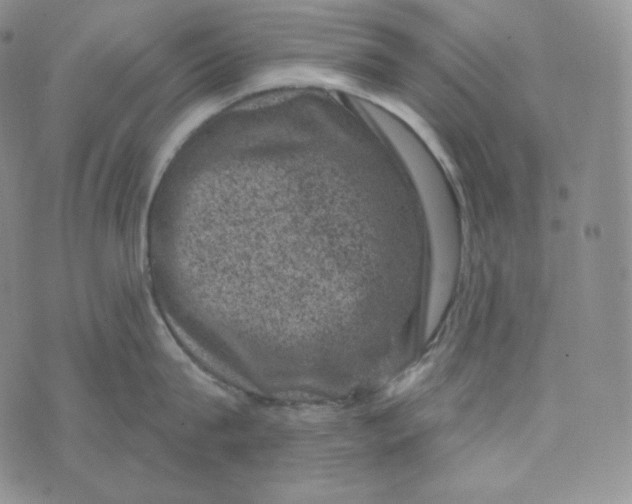 X0000074010815200609111622