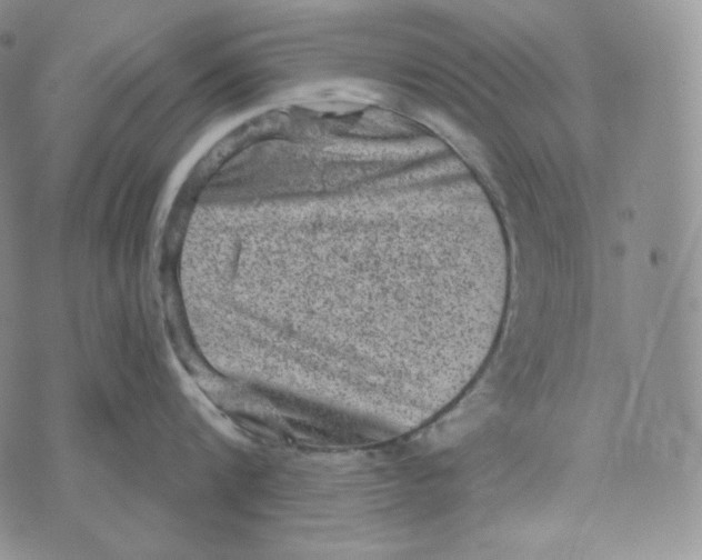 X0000074010816200609111622