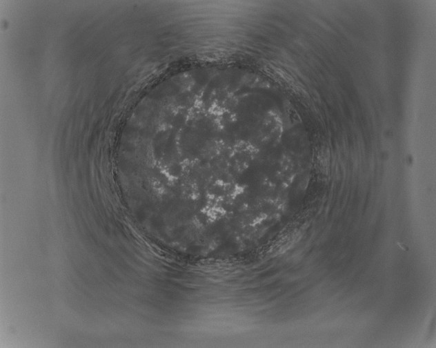 X0000074010817200609111621