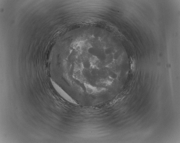 X0000074010819200609111621