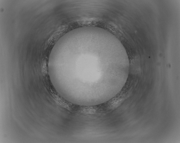 X0000074010820200609111621