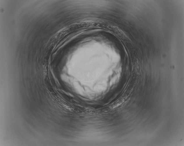 X0000074010821200609111621