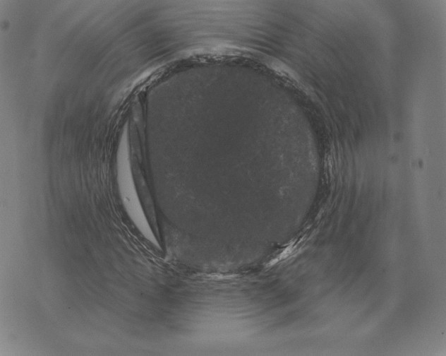 X0000074010822200609111621