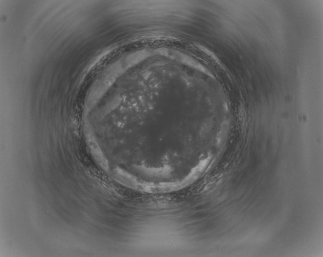 X0000074010823200609111621