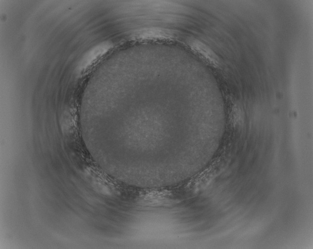 X0000074010824200609111621