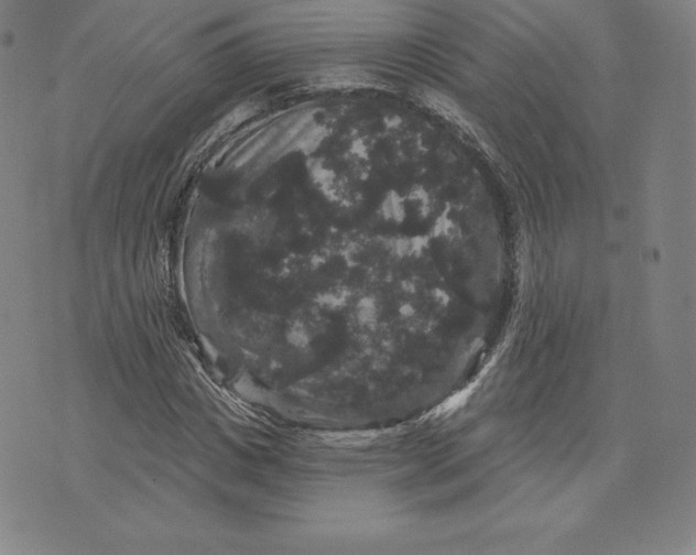 X0000074010825200609111621