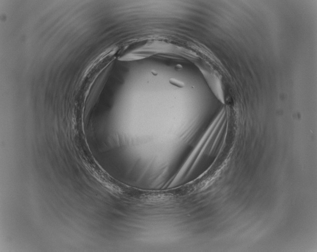 X0000074010826200609111621