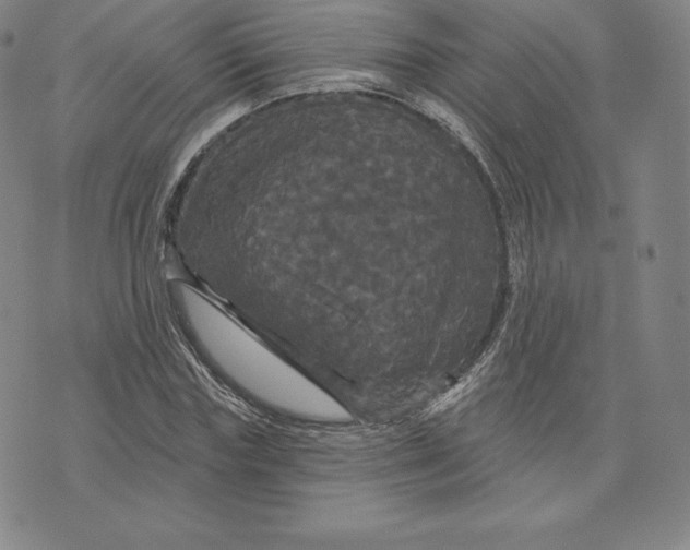 X0000074010827200609111621