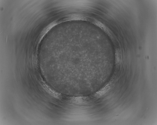 X0000074010828200609111621