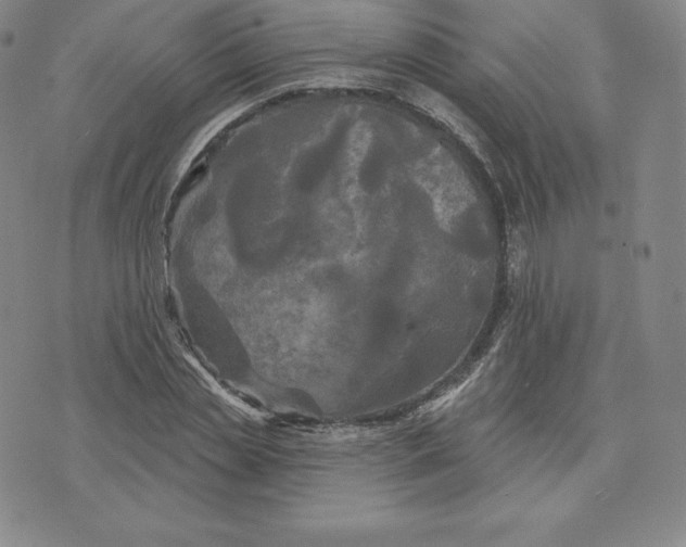 X0000074010829200609111621