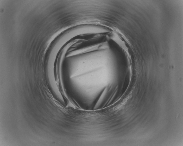 X0000074010830200609111621