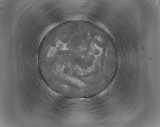 X0000074010831200609111621