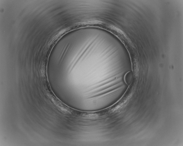 X0000074010833200609111621