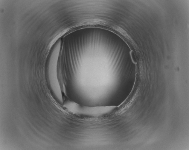 X0000074010834200609111621